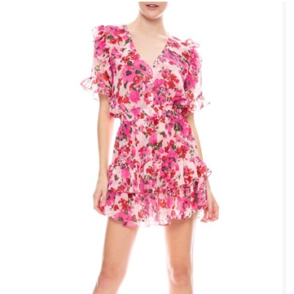 Misa Los Angeles Dresses & Skirts - Misa Los Angeles chiffon mini dress
